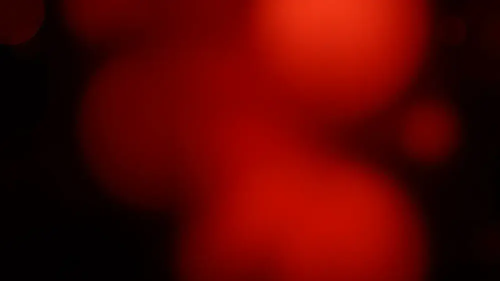 Amor em Tempos de Cólera: romance épico com final incrível!