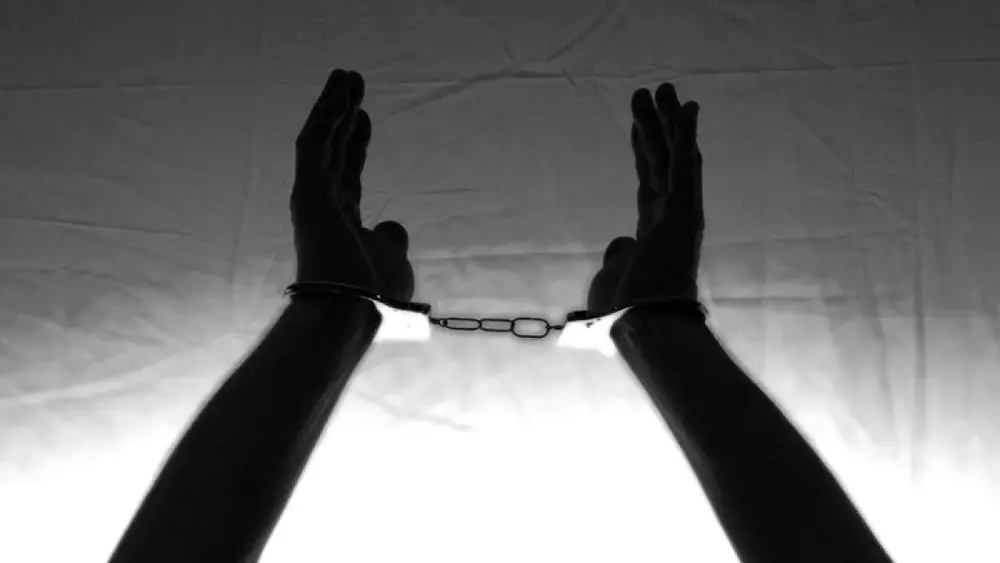 Brasileiros presos na Islândia após ato contra caça de baleias