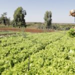 IPP sobe 2,37% em março após queda de 0,16% em fevereiro