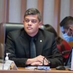 Protetores Mirins: educação contra maus-tratos a animais