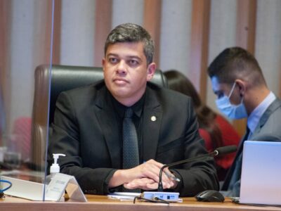 Protetores Mirins: educação contra maus-tratos a animais