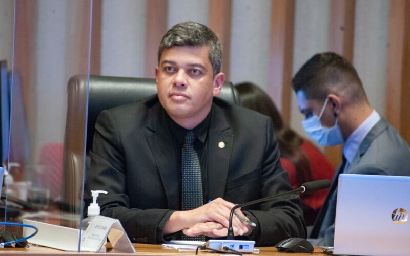 Protetores Mirins: educação contra maus-tratos a animais