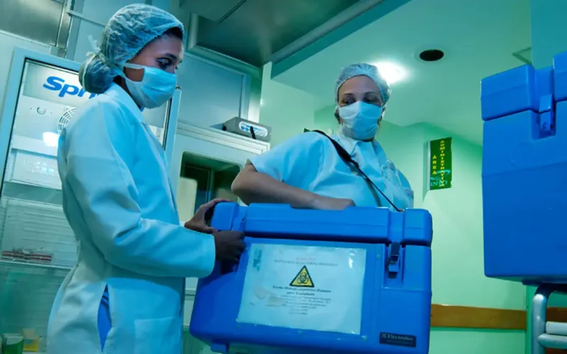 Brasil atinge recorde de 31 mil transplantes em 2025