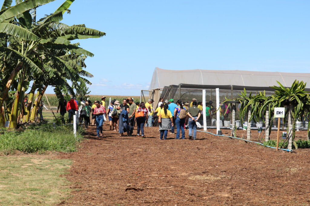 Emater-DF leva fruticultura sustentável à AgroBrasília 2026
