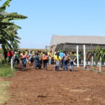 Emater-DF leva fruticultura sustentável à AgroBrasília 2026