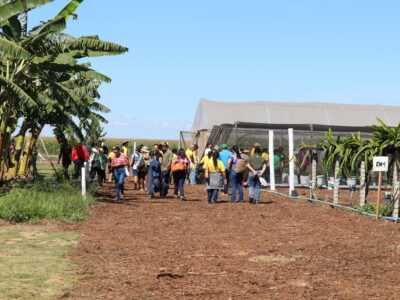 Emater-DF leva fruticultura sustentável à AgroBrasília 2026