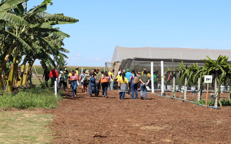 Emater-DF leva fruticultura sustentável à AgroBrasília 2026