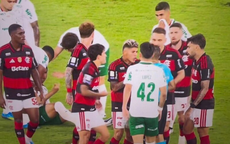 Palmeiras vence Flamengo por 3 a 0 e abre 7 pontos no Brasileirão