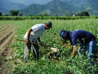 Senado aprova renegociação de dívidas rurais com fundo do pré-sal