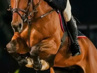 Candangão 2026: Hipismo de Brasília se prepara para grande evento
